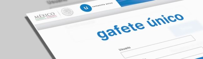  Lineamientos para el trámite de Gafetes de Identificación y de Gafetes Únicos de Identificación en los Recintos Fiscales y Fiscalizados